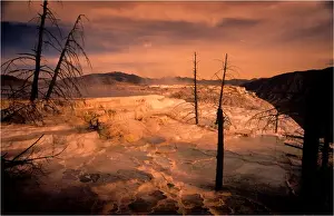 Wyoming Prints: Mammoth springs, Yellowstone National Park, Wyoming