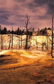 Images Dated 29th July 2013: Mammoth springs, Yellowstone National Park, Wyoming