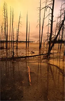 Wyoming Prints: Mammoth springs, Yellowstone National Park, Wyoming