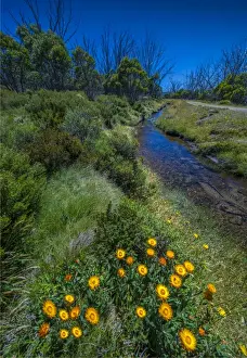 Man made aquaduct to take snow melt water through to a hydro power lake in the Alpine mountainous region of north east Victoria, Australia