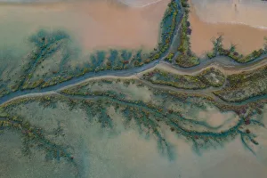 <b class=qtipBold><figcaption>Mangrove Aerial</figcaption></b><br>Striking mangrove patterns on a saltwater mud flat.<br><em>© © 2018 Phil Copp</em> Mangrove Aerial