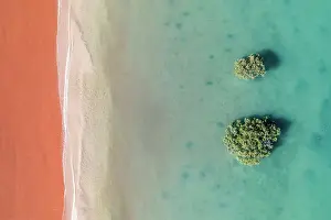 Two mangrove trees in the Indian Ocean photographed from a drone point of view, Simpson Beach, Broome, Western Australia, Australia
