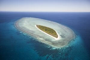 Images Dated 19th July 2014: Mast Head Island, Great Barrier Reef