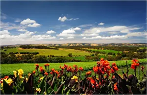 McClarenvale vineyards Fleurieu Peninsula South Australia