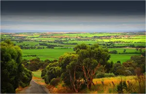Vineyard Prints: McClarenvale vineyards Fleurieu Peninsula South Australia