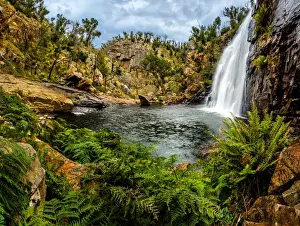 Mckenzie Falls