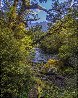 The Milford Track and Clinton River Valley in the South Island of New Zealand
