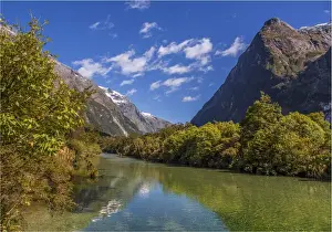 Temperate Rainforest Prints: The Milford Track and Clinton River Valley in the South Island of New Zealand