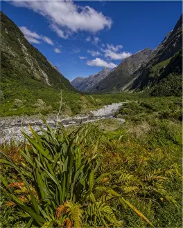 The Milford Track and Clinton River Valley in the South Island of New Zealand