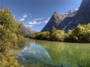 Temperate Rainforest Prints: The Milford Track and Clinton River Valley in the South Island of New Zealand