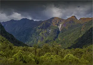Temperate Rainforest Prints: The Milford Track and Clinton River Valley in the South Island of New Zealand