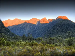 Temperate Rainforest Prints: The Milford Track and Clinton River Valley in the South Island of New Zealand