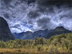 Prints of The Milford Track and Clinton River Valley in the South Island of New Zealand New Zealand Prints: The Milford Track and Clinton River Valley in the South Island of New Zealand