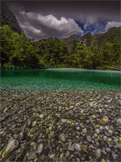 Temperate Rainforest Prints: The Milford Track and Clinton River Valley in the South Island of New Zealand