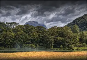 Temperate Rainforest Prints: The Milford Track and Clinton River Valley in the South Island of New Zealand