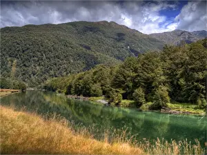 Temperate Rainforest Prints: The Milford Track and Clinton River Valley in the South Island of New Zealand