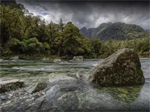 Temperate Rainforest Prints: The Milford Track and Clinton River Valley in the South Island of New Zealand