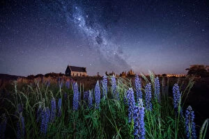 Images Dated 3rd December 2015: Milky way at the Church of the Good Shepherd with blooming lupine in Lake Tekapo in New Zealand