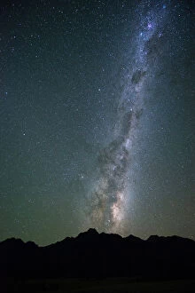 Images Dated 31st January 2016: Milky Way behind tree, South Island, New Zealand