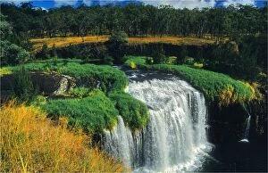 Images Dated 14th December 2013: Millstream falls, north Queensland, Australia