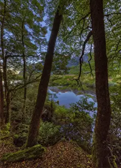 Images Dated 30th April 2014: Mirror lakes, South Island, New Zealand