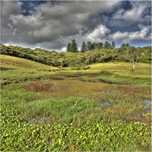 Images Dated 29th October 2012: The mission valley and view across the wetlands, Norfolk Island