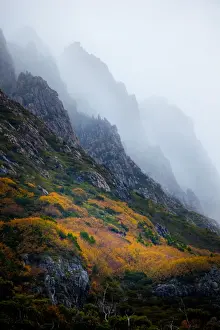 Mist over Cradle Mountain. Tasmania. Australia