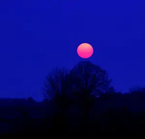 Misty blue sunset