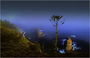 South Pacific Prints: Misty coastline on Norfolk Island