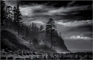 Misty coastline on Norfolk Island