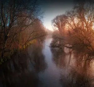 Misty morning at Holmebridge and the Frome River, Dorset, England, UK