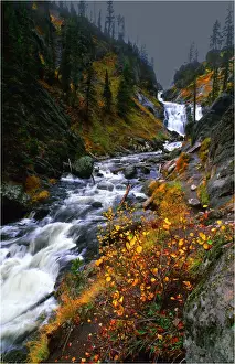 Wyoming Prints: Misty river and Autumn colours, flowing near Yellowstone Lake, Wyoming