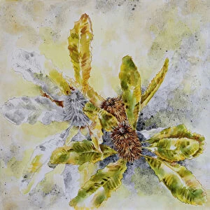 Art Collection: Mixed Media Painting of Australian Spent Banksia Flowers