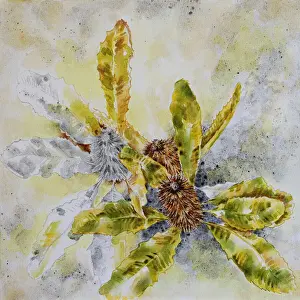 Mixed Media Painting of Australian Spent Banksia Flowers
