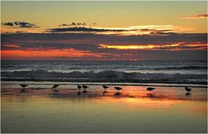 Images Dated 26th November 2010: Moana beach Fleurieu Peninsula South Australia