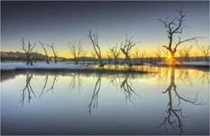 Images Dated 7th July 2012: Mokoen wetlands, Victoria, Australia