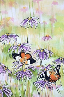 Art Collection: Monarch Butterflies Resting on Aster Asteraceae Daisies Watercolor Painting
