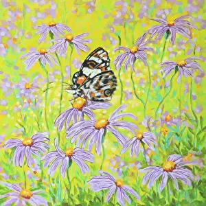 Monarch Butterfly Resting on an Aster Asteraceae Flower Acrylic Painting