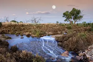 Julie Fletcher Prints: Full moon over flooded gregory creek