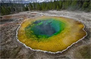 Wyoming Prints: Morning glory, Yellowstone National Park, Wyoming