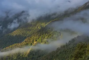 Images Dated 26th April 2016: Morning light, Hst Pass in the mountains of the South Island of New Zealand