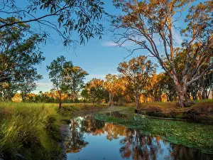 Ian Rolfe's Southern Lightscapes Prints: Morning light just after dawn along Mount William Creek