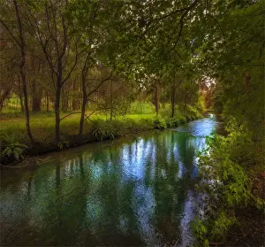 Morses creek, flowing through pretty countryside near the township of Bright