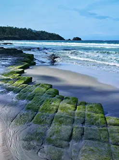 Moss covered rock formation at beach, Tessellated Pavement, Tasmania