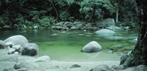 Images Dated 27th May 2014: Mossman Gorge, Daintree National Park, Queensland, Australia