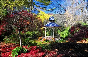 Mount Macedon in the Autumn, Victoria, Australia