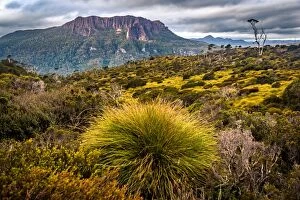 Images Dated 4th June 2016: Mount Oakleigh, Overland track, Tasmania