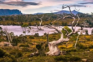 Images Dated 4th June 2016: Mount Oakleigh, Overland track, Tasmania
