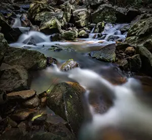 Meaghan Skinner Photography Prints: Mount Tamborine