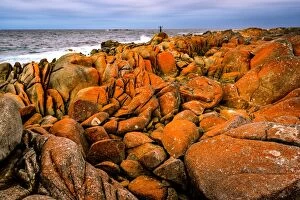 Images Dated 8th March 2016: Mount William National Park at Bay of Fires, Tasmania